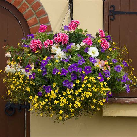 Artificial Hanging Basket Flowers : Target