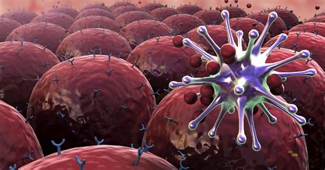 Artificial Immune Systems May Be the Future of …