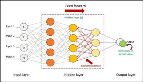 Artificial Neural Networks Ann And Convolutional Neural Networks Cnn Download Scientific Diagram