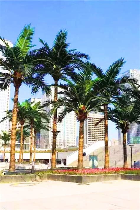 Artificial palm trees.  Definition of artificial adjective from the Oxford Advanced Lea...
