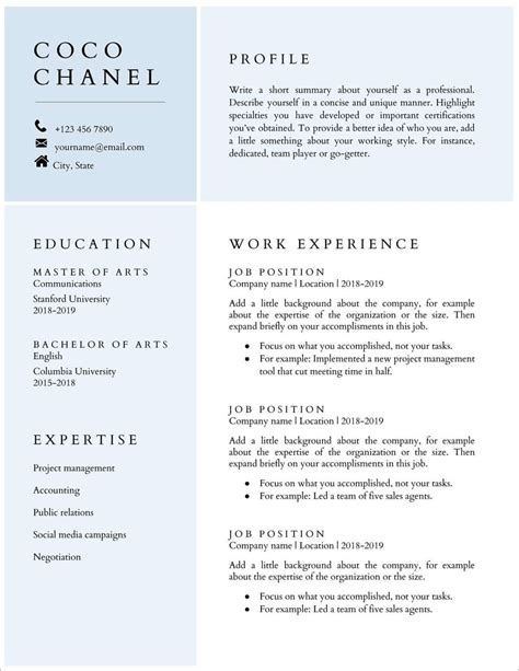 Artist Cv Template Google Docs