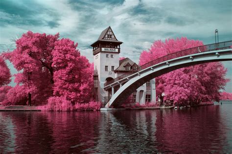 Artist Profile - Sandro Martini - Infrared Conversions, IR ...