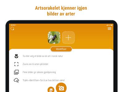 Artsorakel app