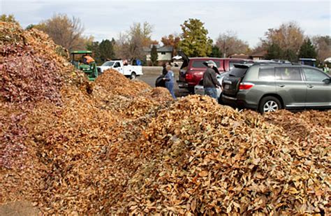 Arvada leaf drop off. Things To Know About Arvada leaf drop off. 