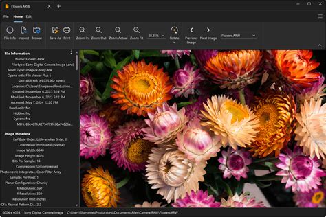 Arw file viewer online.  Contribute to mshankr/arw-viewer development b...
