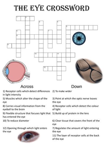 As far as the eye can see crossword clue. Things To Know About As far as the eye can see crossword clue. 