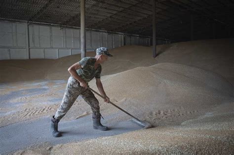 As the Black Sea becomes a battleground, one Ukrainian farmer doesn’t know how he’ll sell his grain