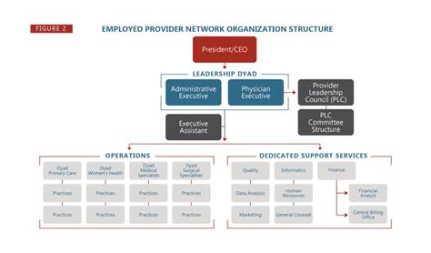 As the provider organization