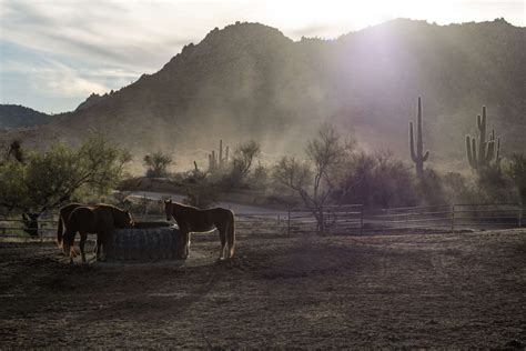 As water dries up in Arizona community, residents use …