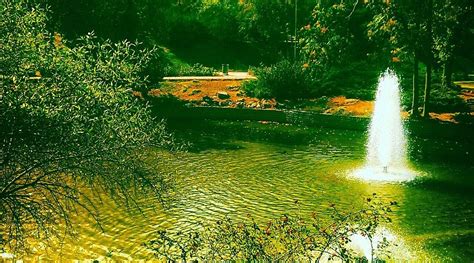 Asagicanli Halı ve Koltuk Yıkama