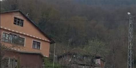 Asagideren Halı ve Koltuk Yıkama