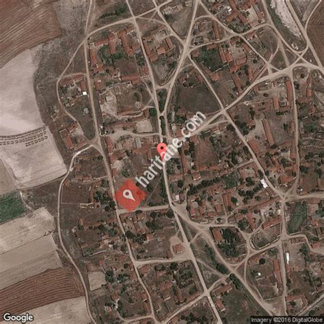 Asagidudas Halı ve Koltuk Yıkama