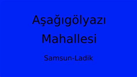 Asagigolyazi Halı ve Koltuk Yıkama