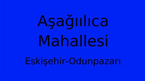 Asagiilica Halı ve Koltuk Yıkama