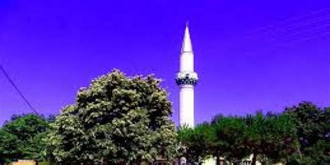 Asagiinova Halı ve Koltuk Yıkama