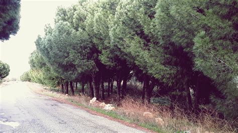 Asagikiriklar Halı ve Koltuk Yıkama