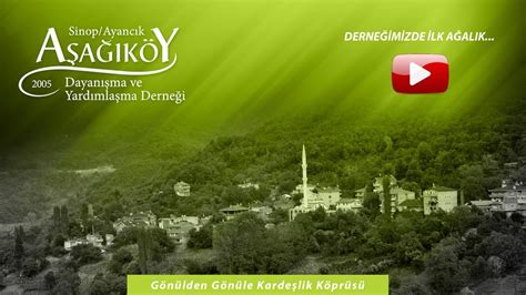 Asagikoy Halı ve Koltuk Yıkama