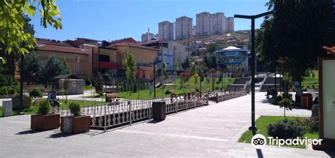 Asagiorukcu Halı ve Koltuk Yıkama