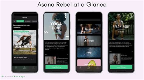 Asana Rebel Trainingsplan