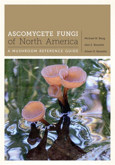Ascomycete fungi of north america a mushroom reference guide the. - 2011 audi a3 timing belt kit manual.