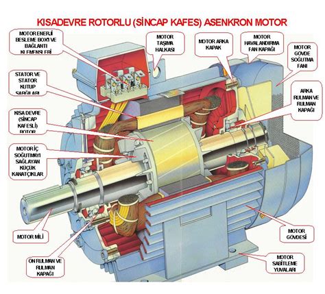 veodersti.rgarabwor.edu.pl. 