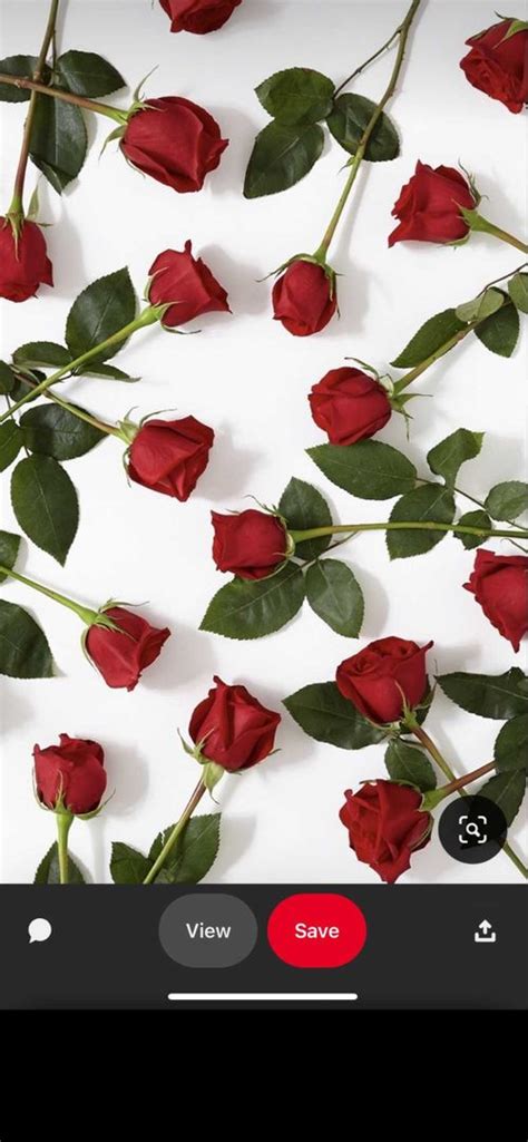 Ashbaby.Vip Onlyfans Leak [PPV] 🍆 108 Vids