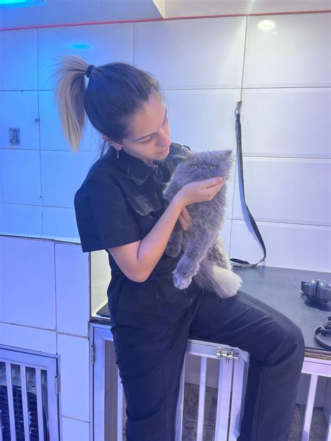 🍑 Ashbr Suicide Onlyfans Leak [SEX VIDEO]