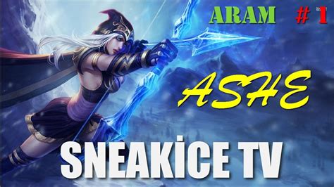 Ashe ARAM Build - Ashe ARAM build from runes, skill order, item path, counters and more in the latest LoL Patch.