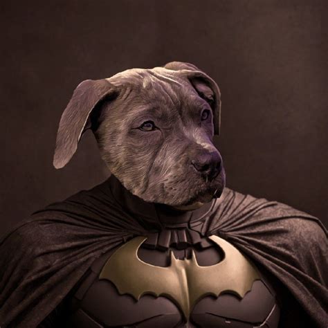 Ashh23 Leaks (SEX) 57 Vids