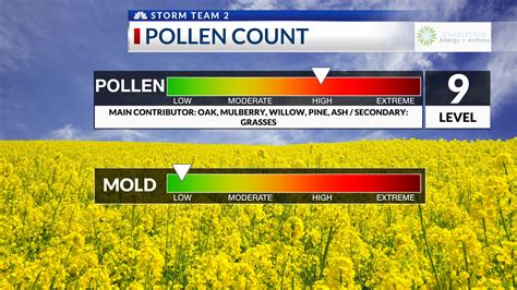 Ashland pollen count and allergy risks are now 2