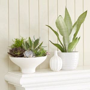 Ashwhipped Onlyfans Leaked [CLIP] 🔥 19 Vids
