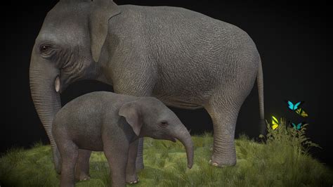 Asian Elephant 3D model 3D printable CGTrader