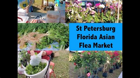 Asian market st pete. Enjoy the typical local “farmers market type” vendors, food, and a musician. The market is at Mother Meres Parking Lot, downtown at the corner of Alt. 19 and Tarpon Ave. When You Go: 44 E Tarpon Ave Tarpon Springs, FL 34689. The market is the 2nd Saturday of the month. Check Out Tarpon Springs 2nd Saturday Market. 