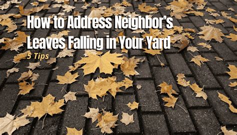 Ask Amy: My neighbors want money because leaves fall in their yard