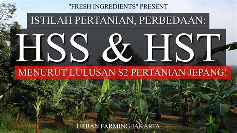 Ask mengenai perbedaan HST dan HSS Kebunpedia