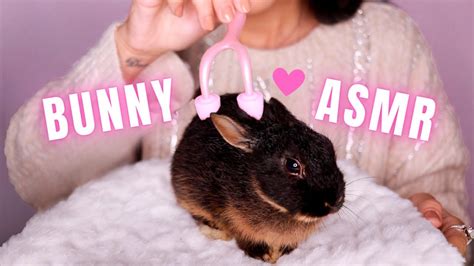 Asmr Bunny Leaks (SEX) 🍑 154 Pics
