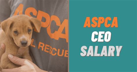 A free inside look at ASPCA salary trends based on 243 salaries wages for 1 jobs at ASPCA. Salaries posted anonymously by ASPCA employees.. 