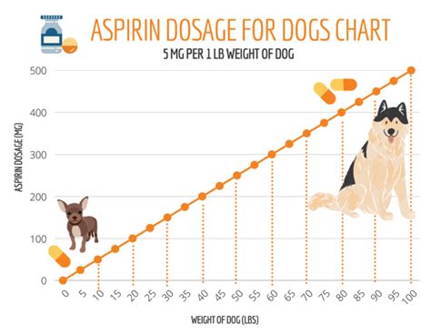 Aspirin For Dogs: Side Effects, Safety Precautions, Dogs & More