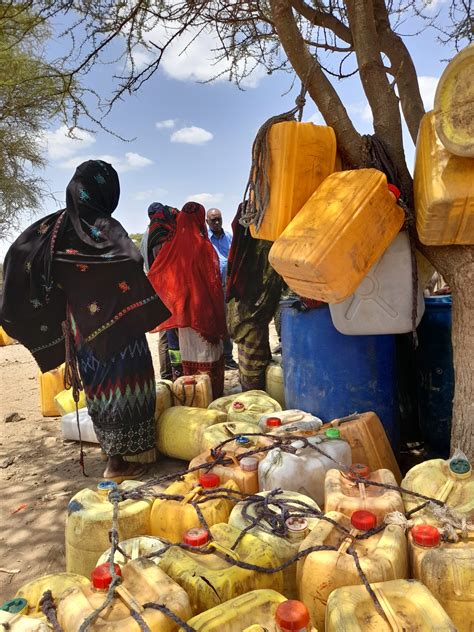 Assessing a famine: the food crisis in the Horn of Africa