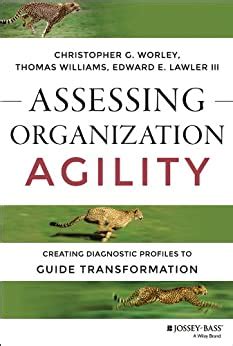 Assessing organization agility creating diagnostic profiles to guide transformation j b short format series. - Coleman sequoia pop up camper manuals.