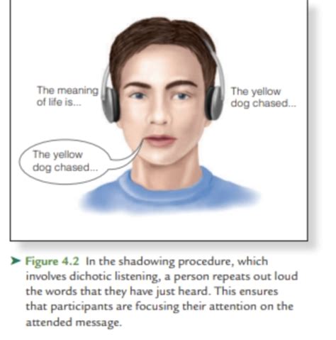 Assessment of Attention Flashcards Quizlet