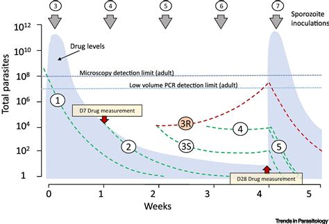 Assessment of the efficacy of antimalarial drugs recommended by …