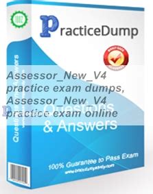 Assessor_New_V4 Exam Fragen.pdf