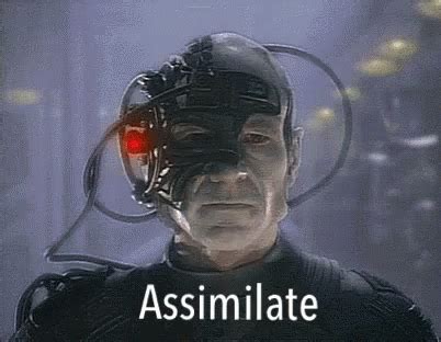 Assimilate GIFs - Find & Share on GIPHY