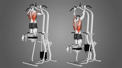 Assisted pull up. Things To Know About Assisted pull up. 