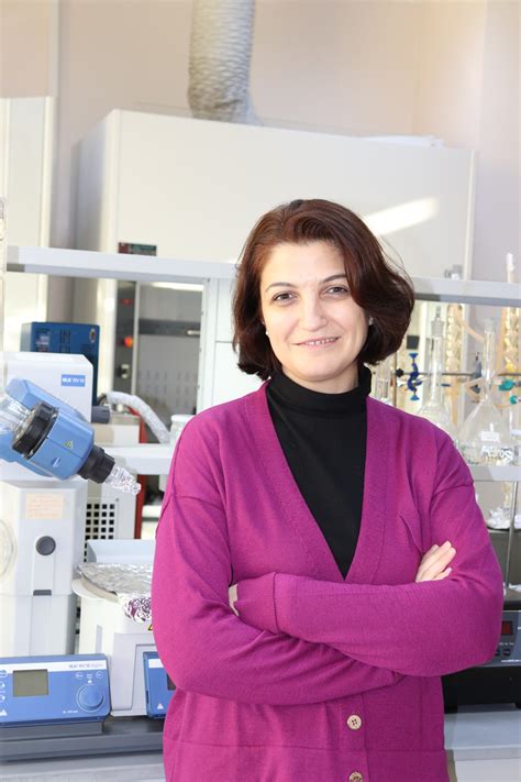 Assoc Prof Dr. Burcu Tunga Image Processing Best.