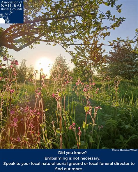 Association of natural burial grounds.  482 likes · 10 talking about th...