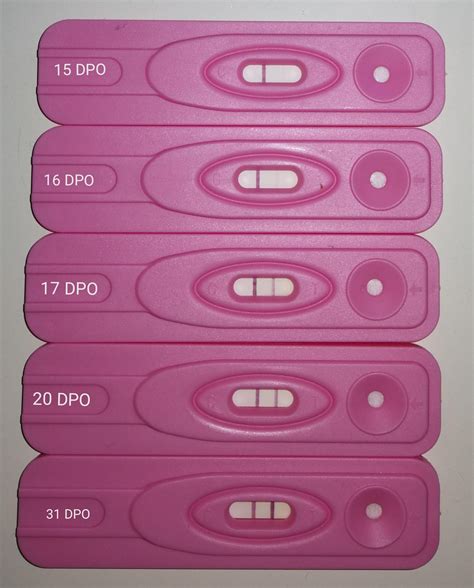 Assured dollar tree pregnancy test progression. Inside the Abbott test is a specially coated strip that interacts with COVID-19 antigens. The patient's nasal swab is inserted into the card and a few drops of a chemical solution are added. Markings appear on the card to indicate whether the sample is positive or negative — much like a pregnancy test. Two other makers of antigen tests ... 