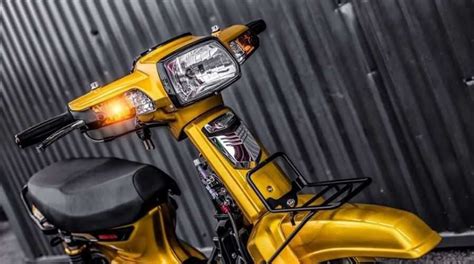 Astrea Prima Modif: What Is the Importance of a Daily Quiz? image 1