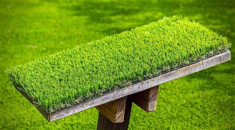 Astro turf.  Today&rsquo;s synthetic turf products offer homeowners a realistic-looking law...